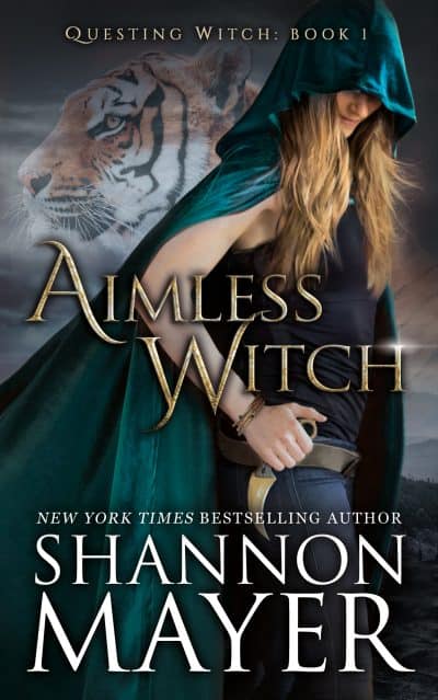 Cover for Aimless Witch