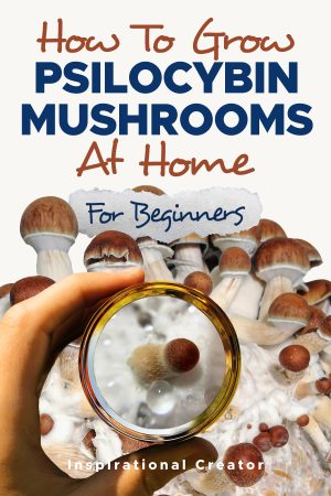 Cover for How to Grow Psilocybin Mushrooms at Home for Beginners