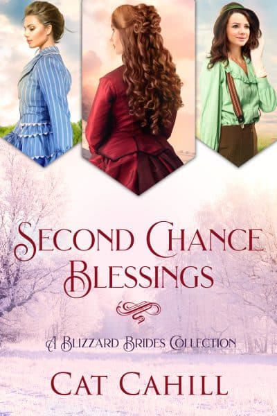 Cover for Second Chance Blessings