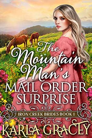 Cover for The Mountain Man's Mail-Order Surprise