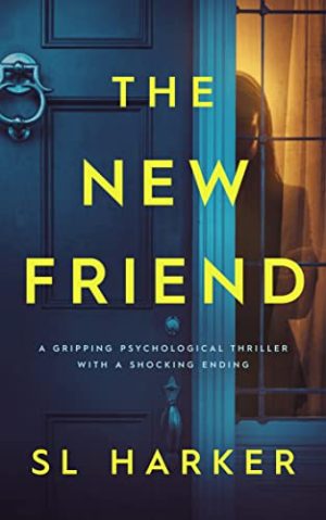 Cover for The New Friend