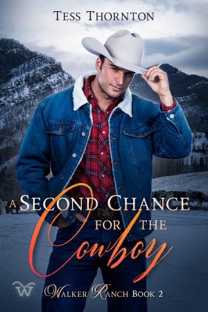 Cover for A Second Chance for the Cowboy
