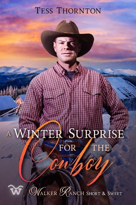 Cover for A Winter Surprise for the Cowboy