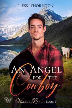 Cover for An Angel for the Cowboy