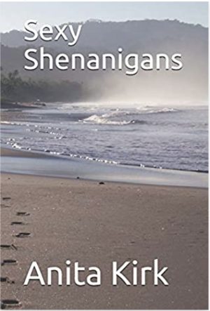 Cover for Sexy Shenanigans
