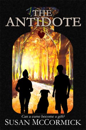 Cover for The Antidote