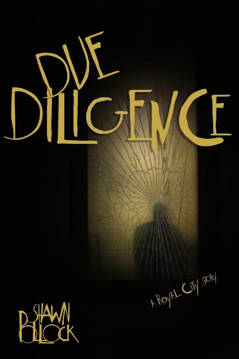 Cover for Due Diligence: a short story