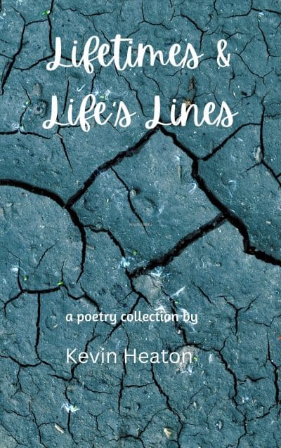 Cover for Lifetimes & Life's Lines
