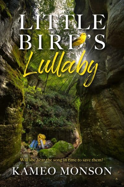 Cover for Little Bird's Lullaby