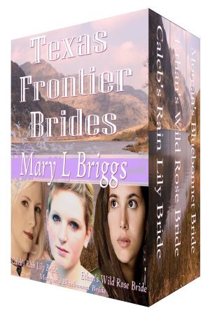 Cover for Texas Frontier Brides (Volumes 1-3 & A Bride for Hannigan)