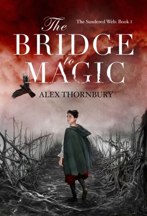 Cover for The Bridge to Magic
