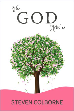 Cover for The God Articles