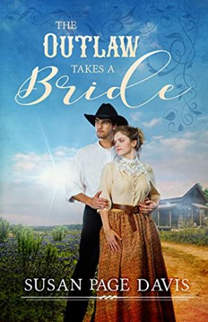 Cover for The Outlaw Takes a Bride