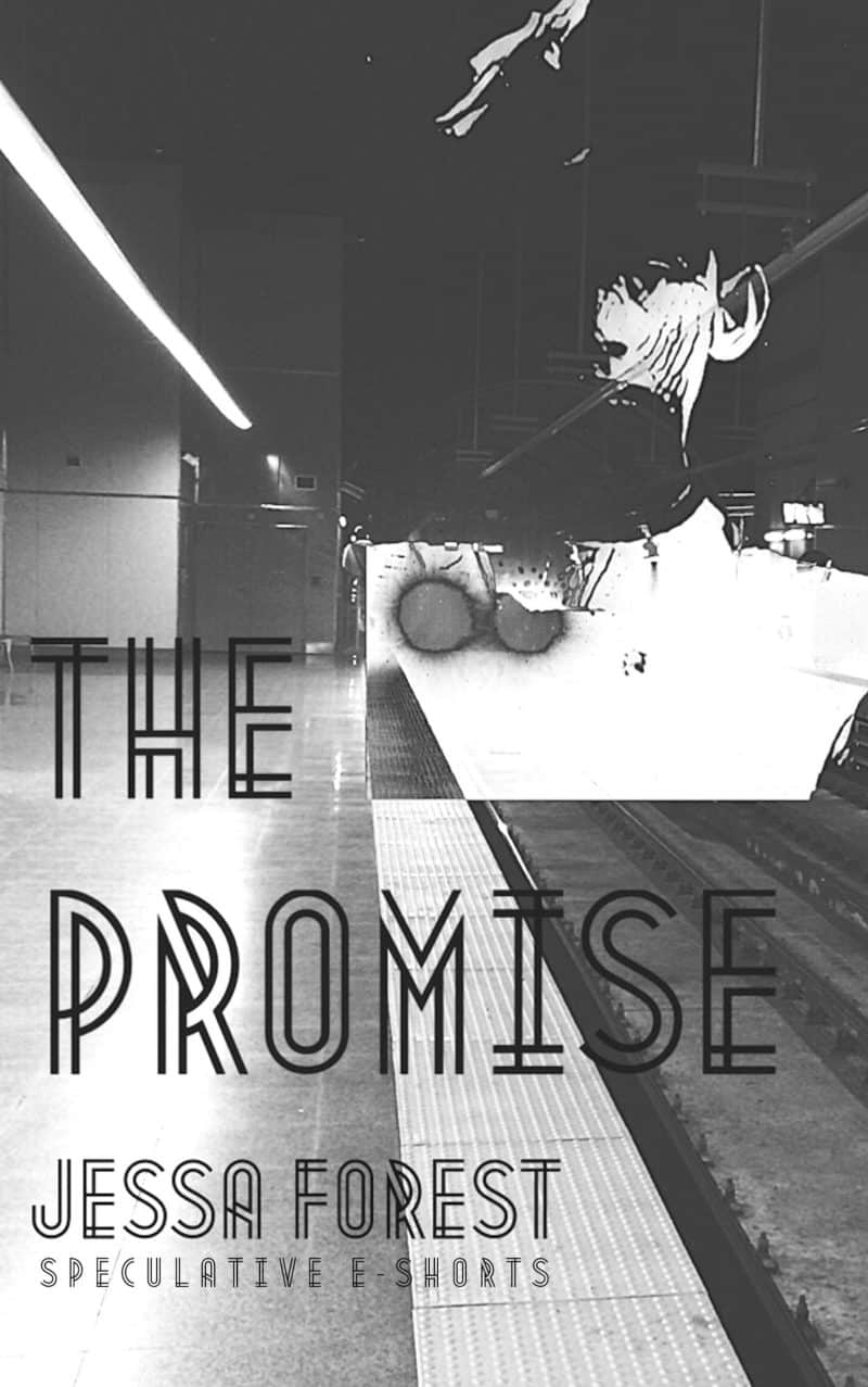Cover for The Promise: A Dark Dystopian Short Story