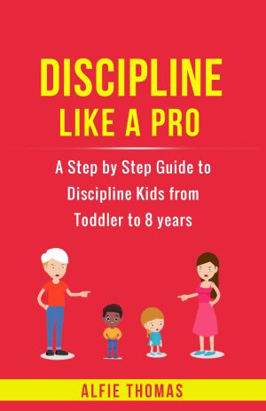 Cover for Discipline Like a Pro