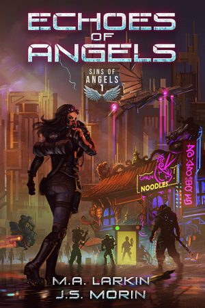 Cover for Echoes of Angels