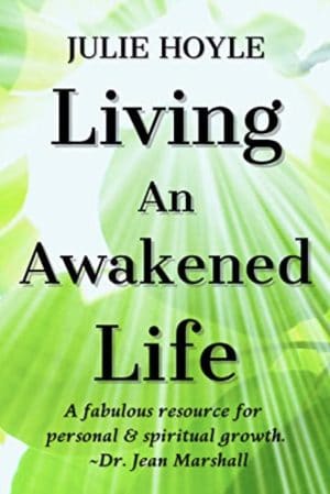 Cover for Living an Awakened Life