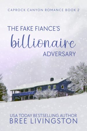 Cover for The Fake Fiance's Billionaire Adversary