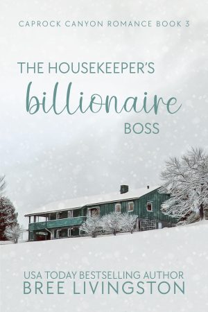 Cover for The Housekeeper's Billionaire Boss
