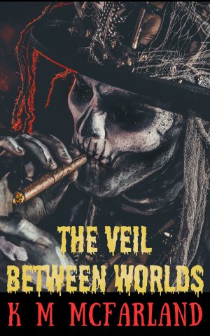 Cover for The Veil Between Worlds