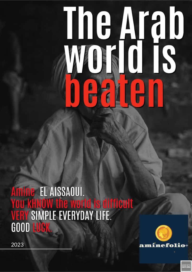 Cover for The arab world is beaten