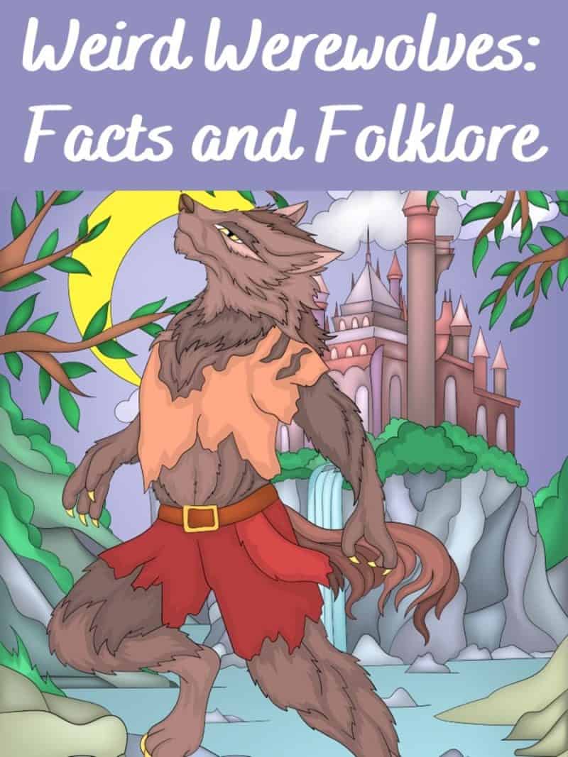 Cover for Weird Werewolves: Facts and Folklore