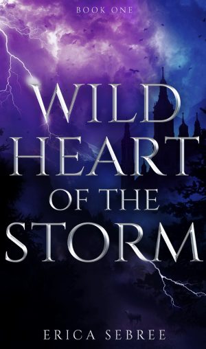 Cover for Wild Heart of the Storm