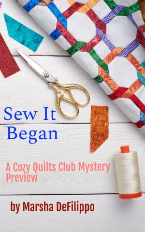 Cover for Sew It Began