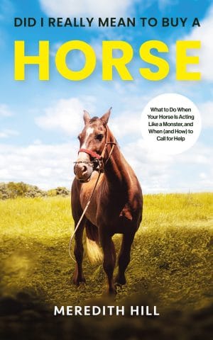 Cover for Did I Really Mean to Buy a Horse: What to Do when Your Horse Is Acting like a Monster, and when (and How) to Call for Help