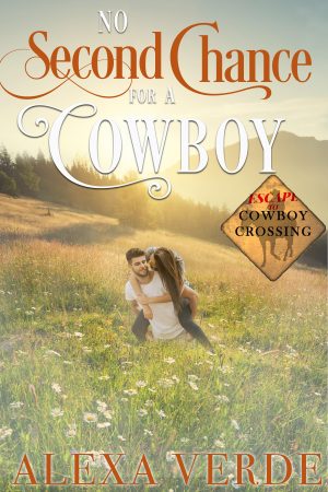 Cover for No Second Chance for a Cowboy