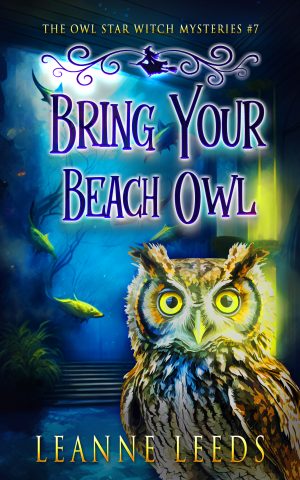 Cover for Bring Your Beach Owl