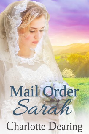 Cover for Mail Order Sarah