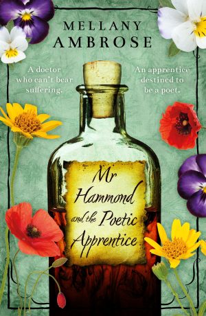 Cover for Mr Hammond and the Poetic Apprentice