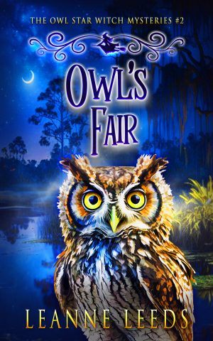 Cover for Owl's Fair