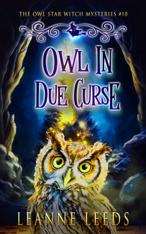 Cover for Owl in Due Curse
