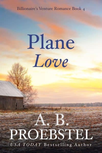 Cover for Plane Love