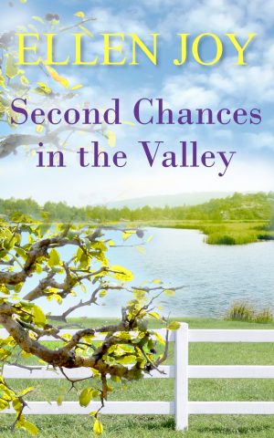 Cover for Second Chances in the Valley