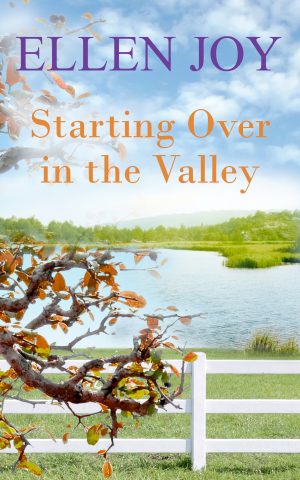 Cover for Starting Over in the Valley