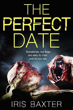 Cover for The Perfect Date