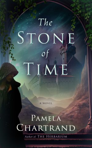 Cover for The Stone of Time