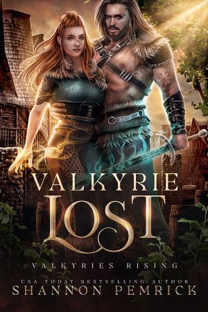 Cover for Valkyrie Lost