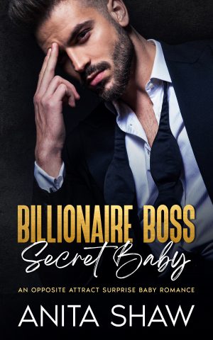 Cover for Billionaire Boss Secret Baby