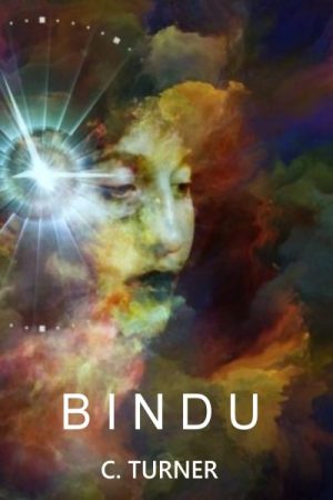 Cover for Bindu