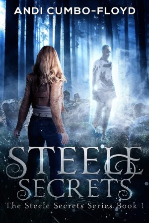 Cover for Steele Secrets