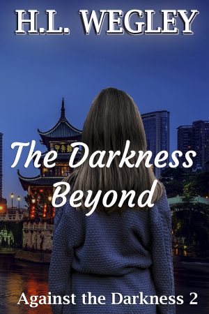 Cover for The Darkness Beyond