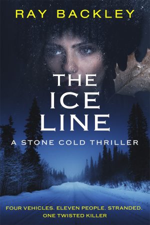 Cover for The Ice Line