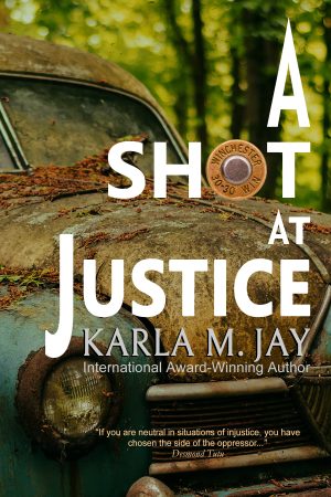 Cover for A Shot at Justice