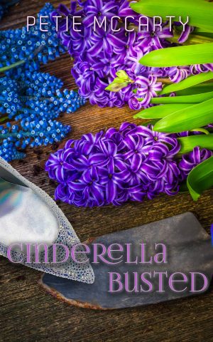Cover for Cinderella Busted