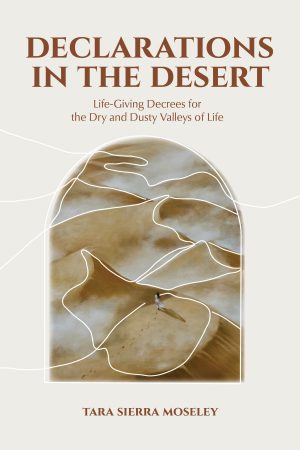 Cover for Declarations in the Desert