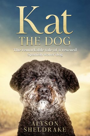 Cover for Kat the Dog